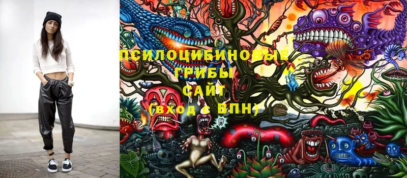 площадка телеграм  наркота  Петушки  Галлюциногенные грибы Magic Shrooms 